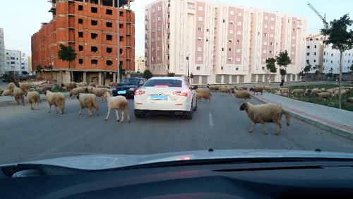 20170214_175431_Ink_LI.jpg 20170214_175431_Ink_LI.jpg