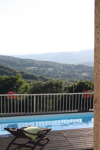 IMG_8113.JPG IMG_8113.JPG