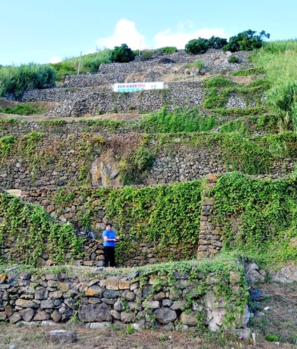 Foto do percurso, na Serra do Facho...