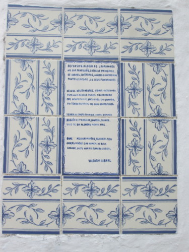 IMG_5773.JPG IMG_5773.JPG