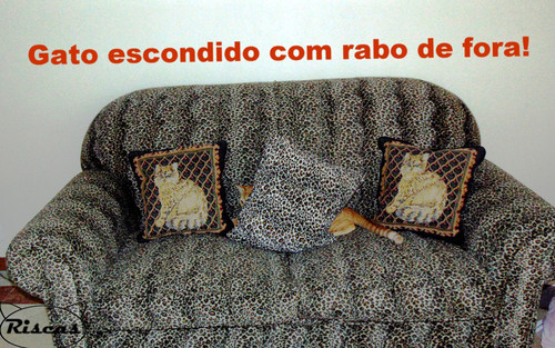 gatoescondidocomrabofora.jpg