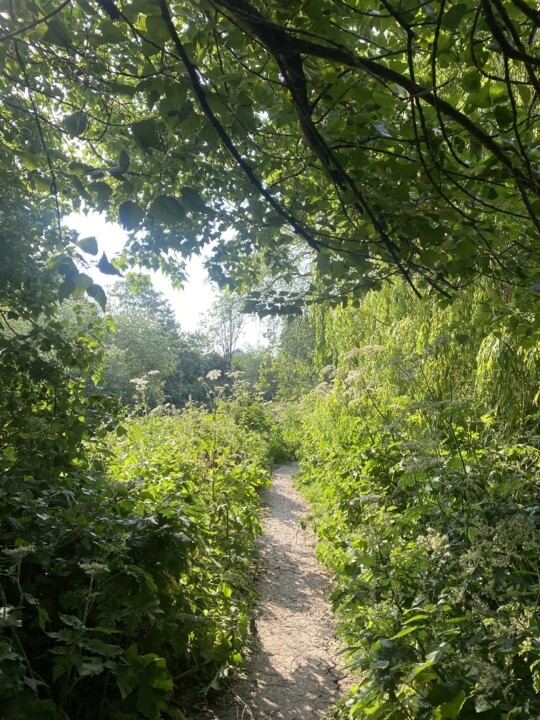 hackney-marshes-path.jpg