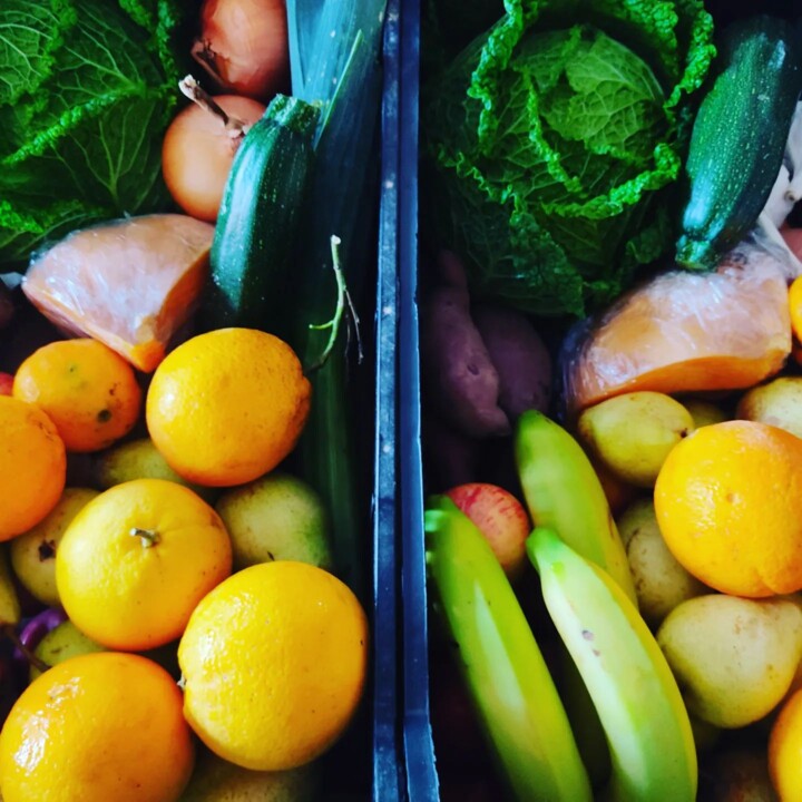 315333903_2465512300255183_6388408738443864826_n.j