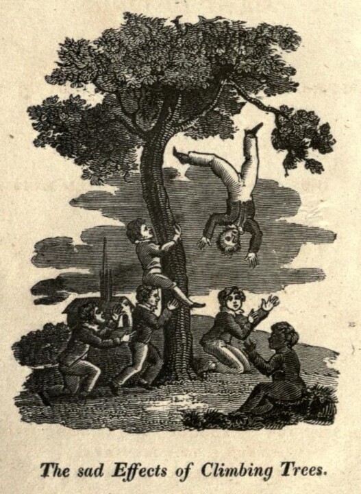 the sad effects of climbing trees.jpg