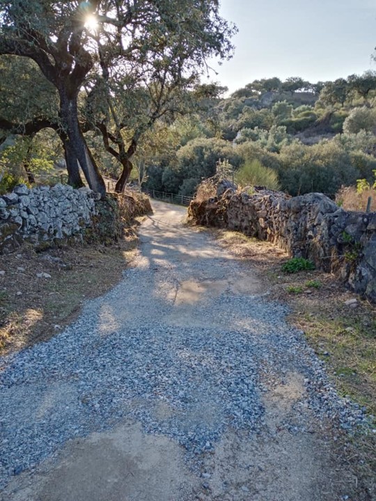 Caminho Fonte Salto JFAM 2020.jpg