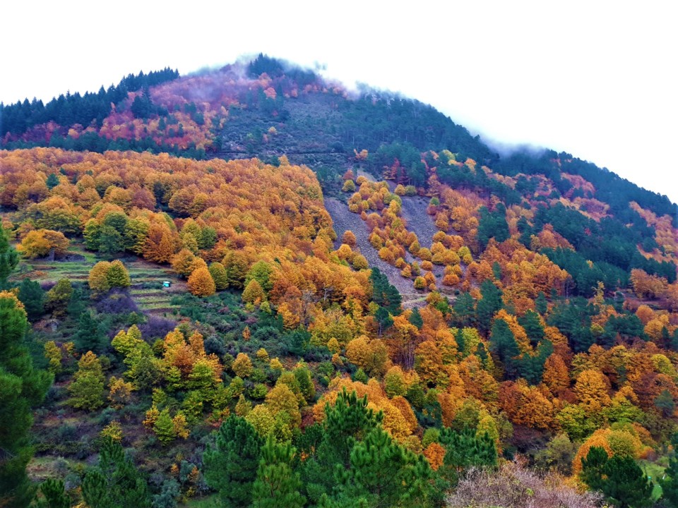 ENCOSTA COLORIDA.jpg