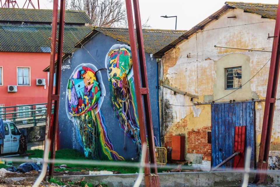 bordalo 5.jpg