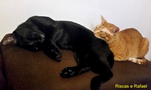 dormitar.jpg dormitar.jpg