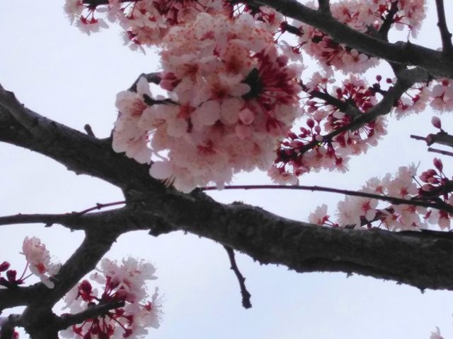 155932973_3685532454895366_7768845331957705821_o.j