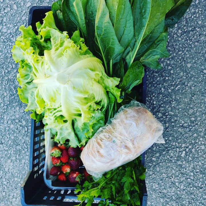 341318434_949614156224070_2431469152946227774_n.jp