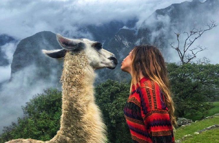 44329318_1990496591018837_2099341132680037633_n-74 44329318_1990496591018837_2099341132680037633_n-74