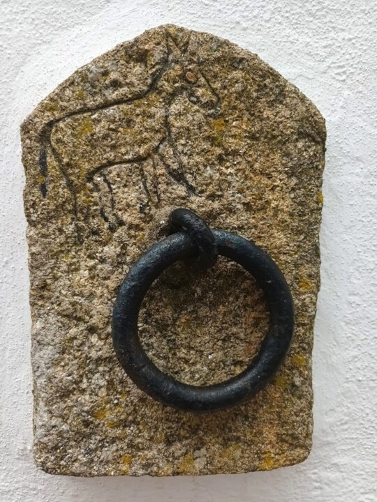 Não me canso disto burro.jpg