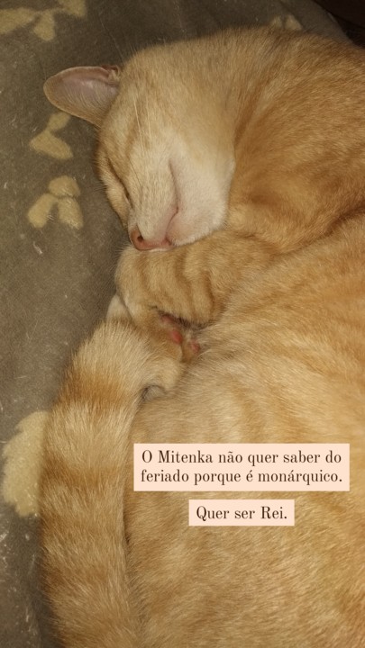 20211005 Monarca.jpg