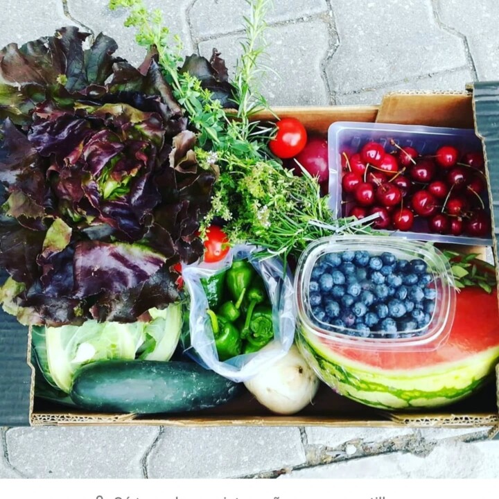 520049895_18488885851066958_7084529334416723780_n.