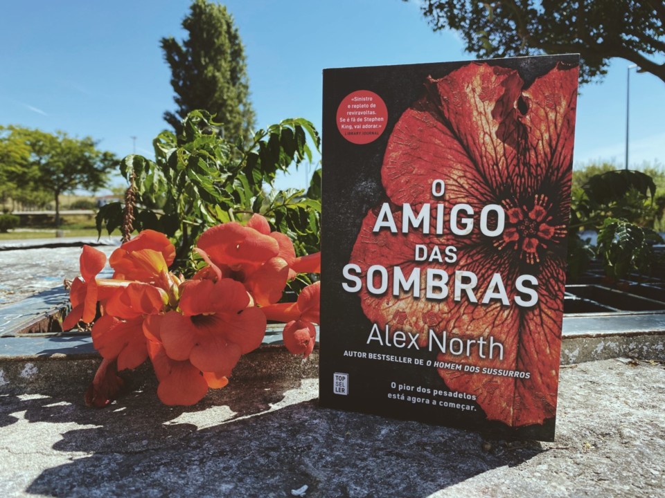 o amigo das sombras capa.jpg