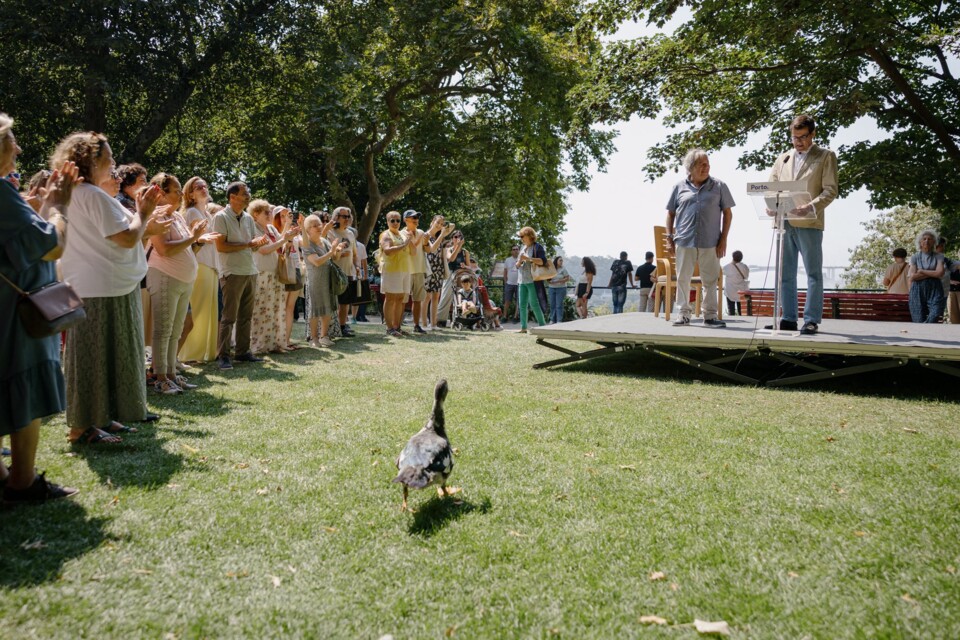 537392748_1325648762256738_3832397339771142686_n.j