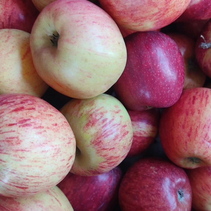 461268226_920705896753488_5112277027003025582_n.jp