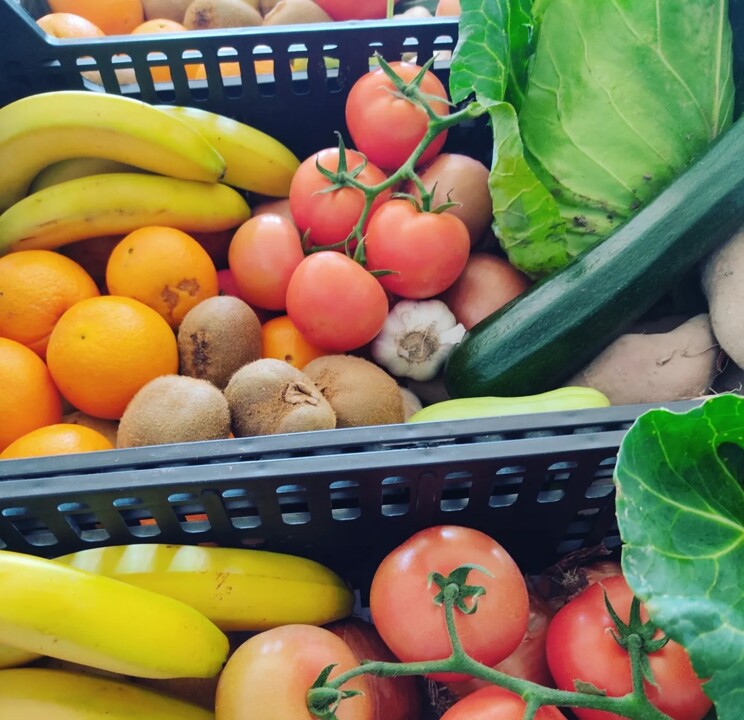 417750284_754745406682872_2591289391516265552_n.jp