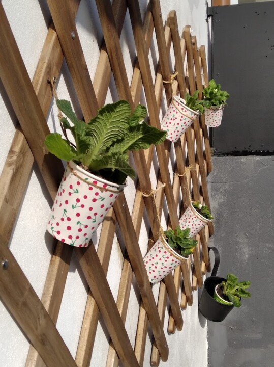 Não me canso disto flores1.jpg