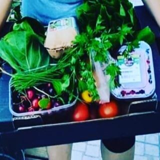 352765653_557007283270823_9174931589029713480_n.jp