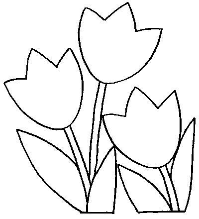 TULIPANES (5).jpg