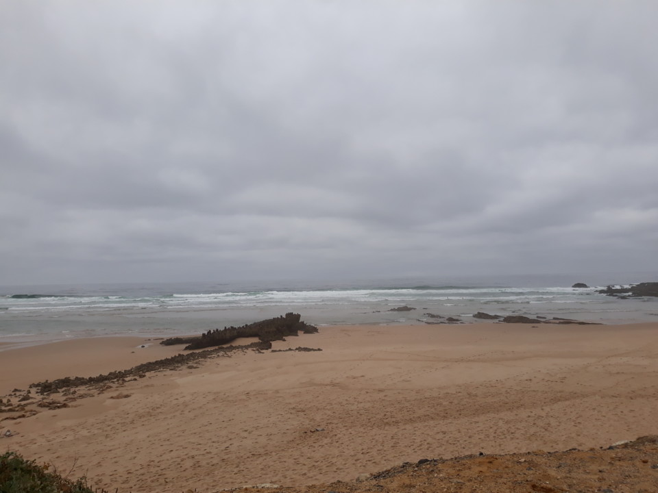 20191101_125356.jpg 20191101_125356.jpg