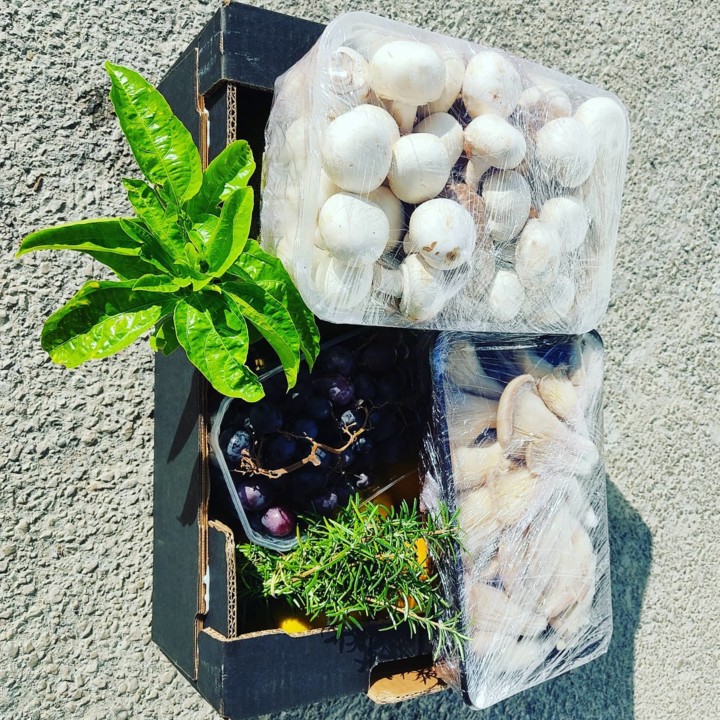 120133651_1826296617510091_529359250991401207_o.jp