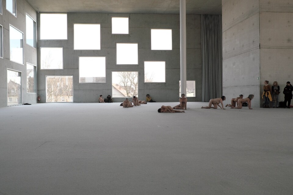 descarregar (2).jfif