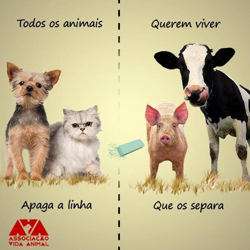 11062424_901598449932299_1782976882287790002_n.jpg 11062424_901598449932299_1782976882287790002_n.jpg