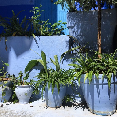 IMG_6600.JPG IMG_6600.JPG