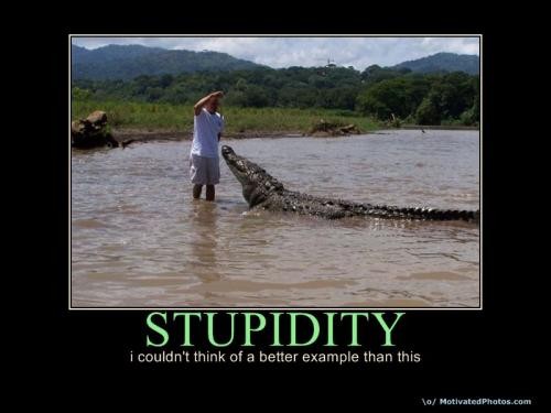 Stupidity