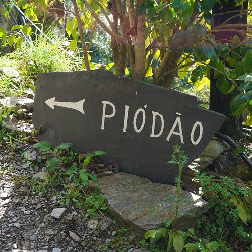 DSC02933.JPG DSC02933.JPG