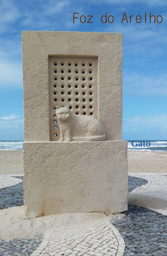 gato-da-foz-doArelho.jpg gato-da-foz-doArelho.jpg
