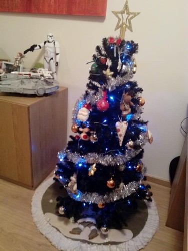 23659466_10210688807597171_168593608988696605_n.jp