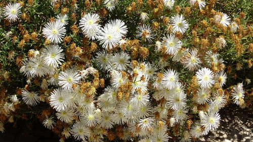 DSC02979.jpg DSC02979.jpg