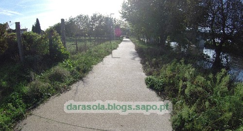 Margens rio Ave Trofa 04.JPG