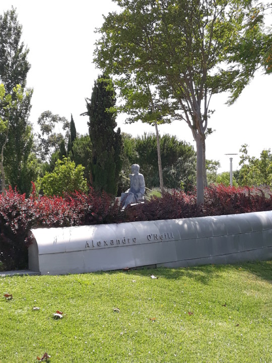 20180624_160440.jpg 20180624_160440.jpg