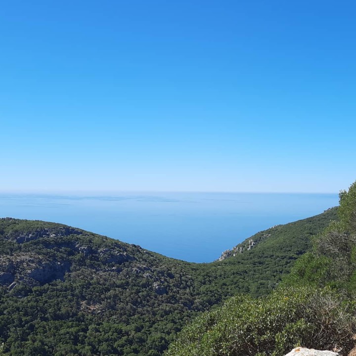 202153620_10222041961536693_4069033928022221278_n.