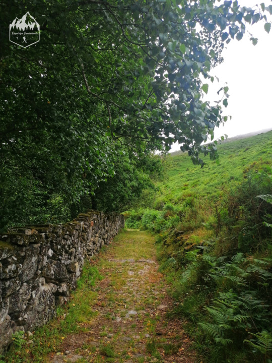 Photo_1597132093060.jpg Photo_1597132093060.jpg