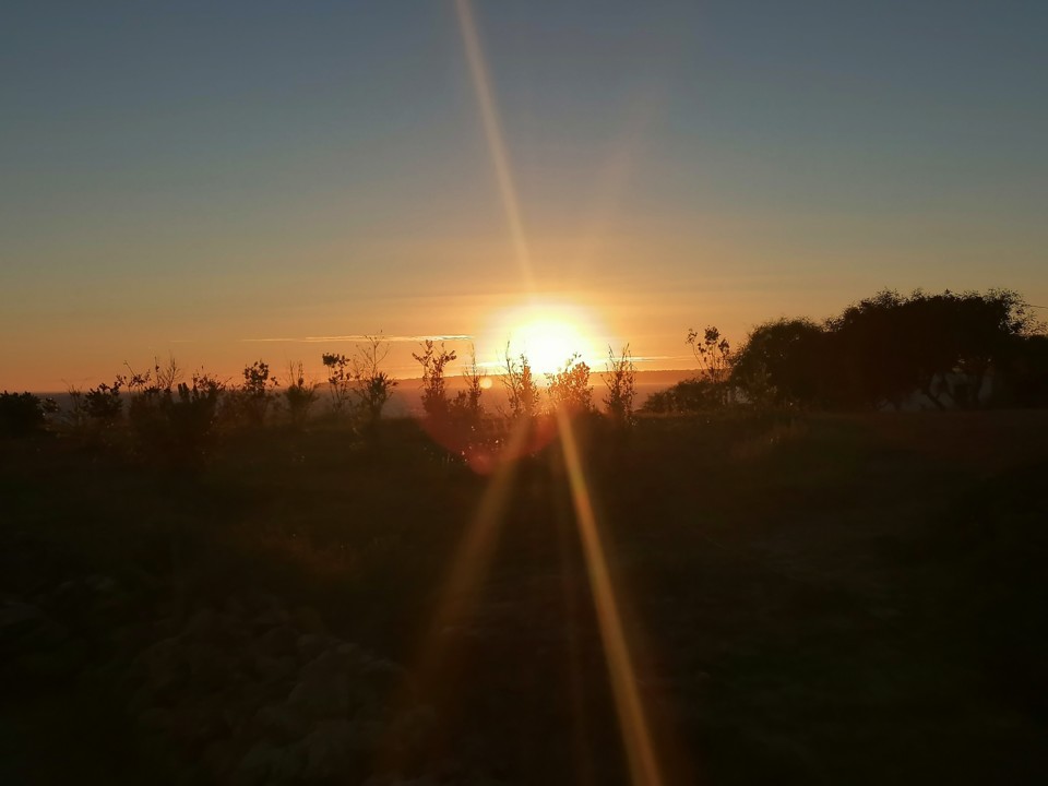 IMG_20200819_201058.jpg IMG_20200819_201058.jpg