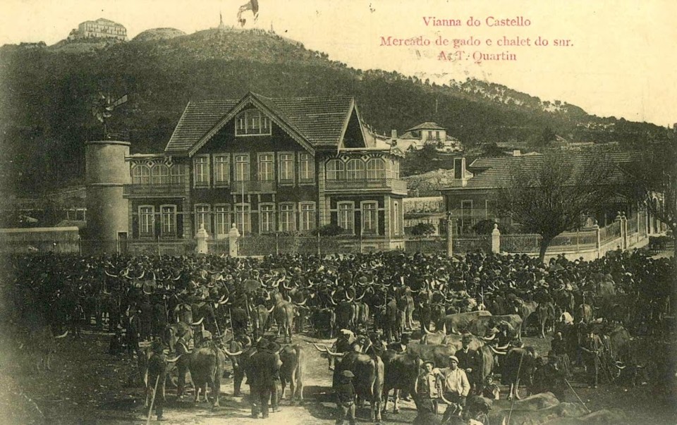 11- mercado do gado.jpg