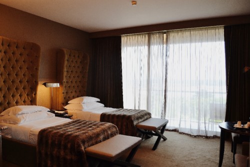 2F5AEC68-C518-4ECD-B80B-8D8820D74119.jpeg 2F5AEC68-C518-4ECD-B80B-8D8820D74119.jpeg