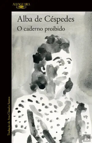 o caderno proibido.webp