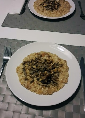 acorda.jpg acorda.jpg