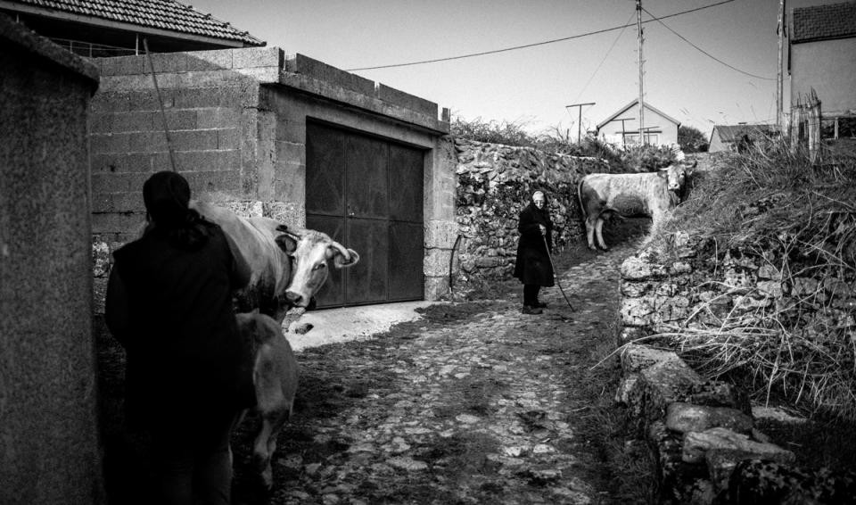 916 c WINTERNOMADISM_NOTICIASMAGAZINE_GD_CASTROLAB