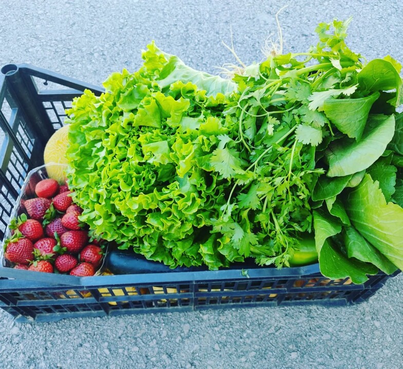 500738261_18479851405066958_207818406761514277_n.j