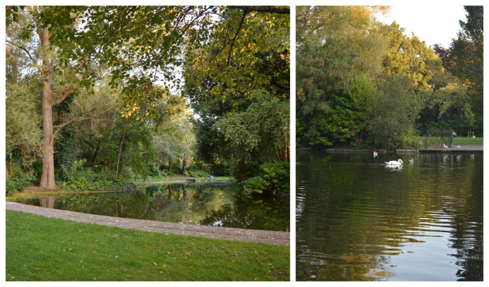 BeFunky-collage10.jpg BeFunky-collage10.jpg