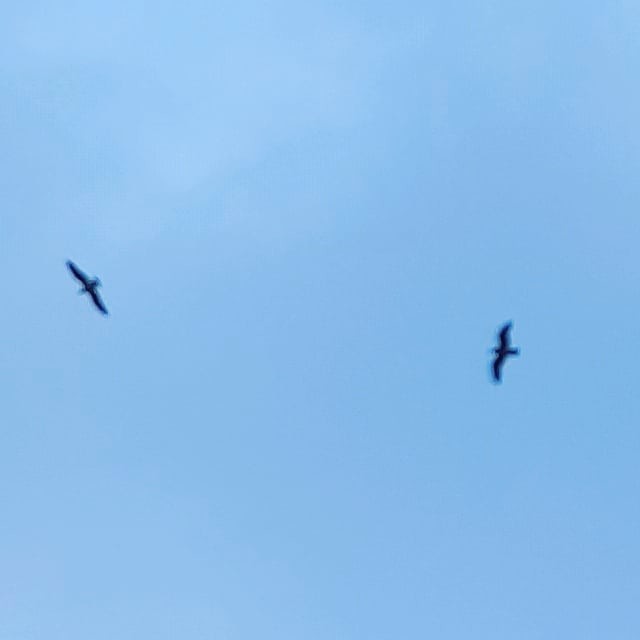 139785213_10220920127011531_6620396902318285972_n 