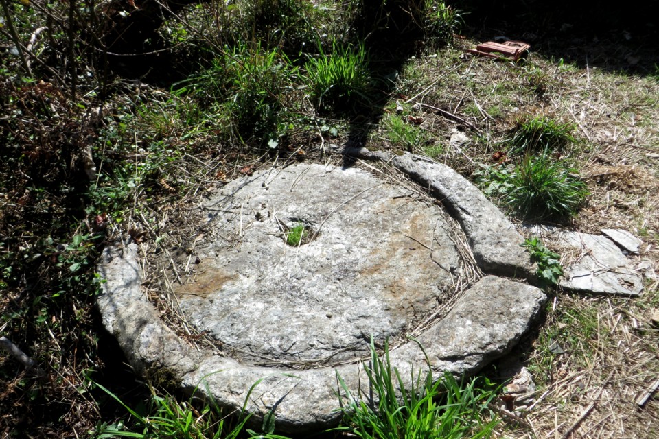 IMG_4655.JPG IMG_4655.JPG