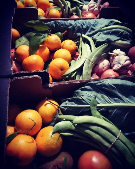 75588277_1521132161359873_6268741584418766848_o.jp